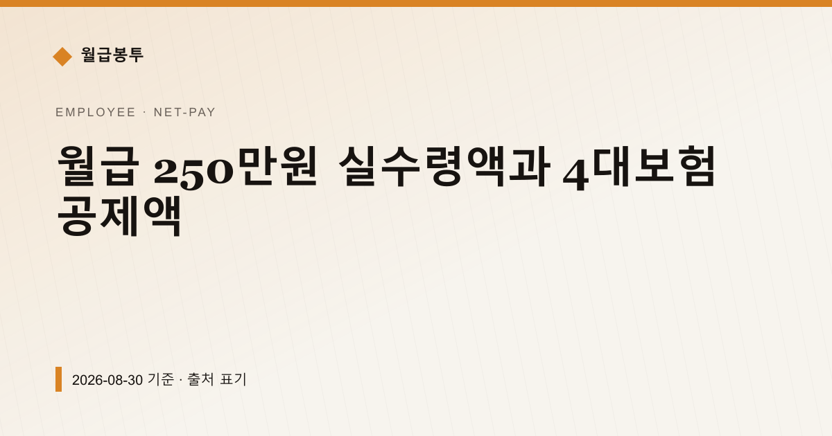 월급 250만원 실수령액과 4대보험 공제액 — 실수령액 pricing comparison