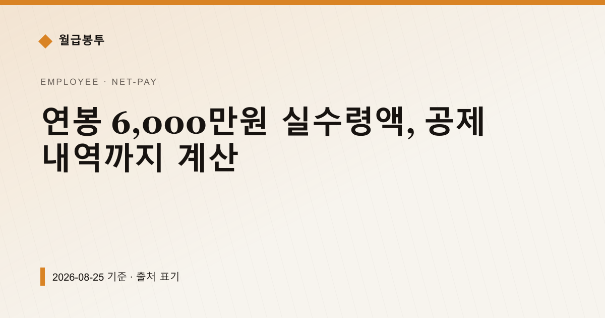 연봉 6,000만원 실수령액, 공제 내역까지 계산 — 실수령액 pricing comparison